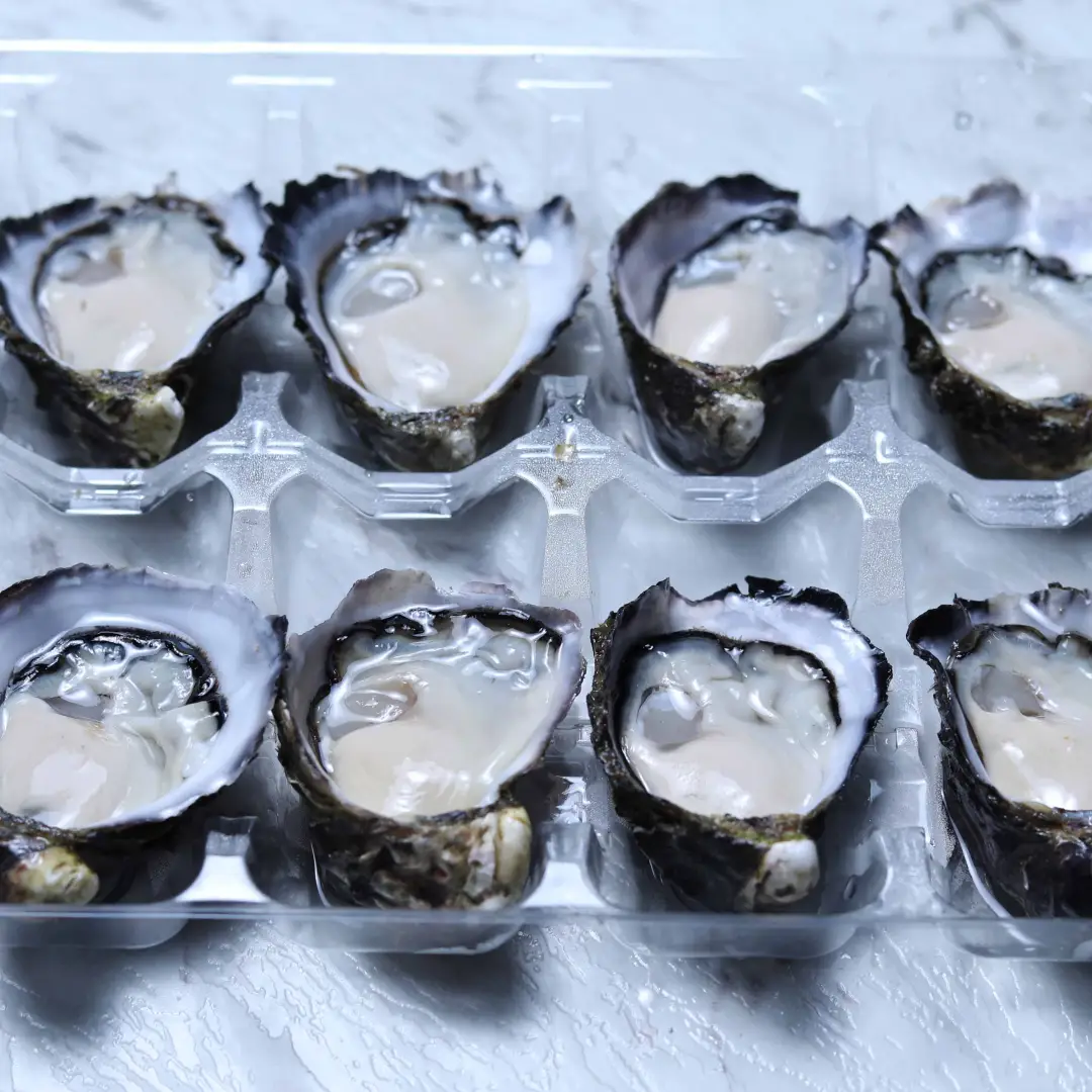 Sydney Rock Oysters - Shucked (opened) - Image 4