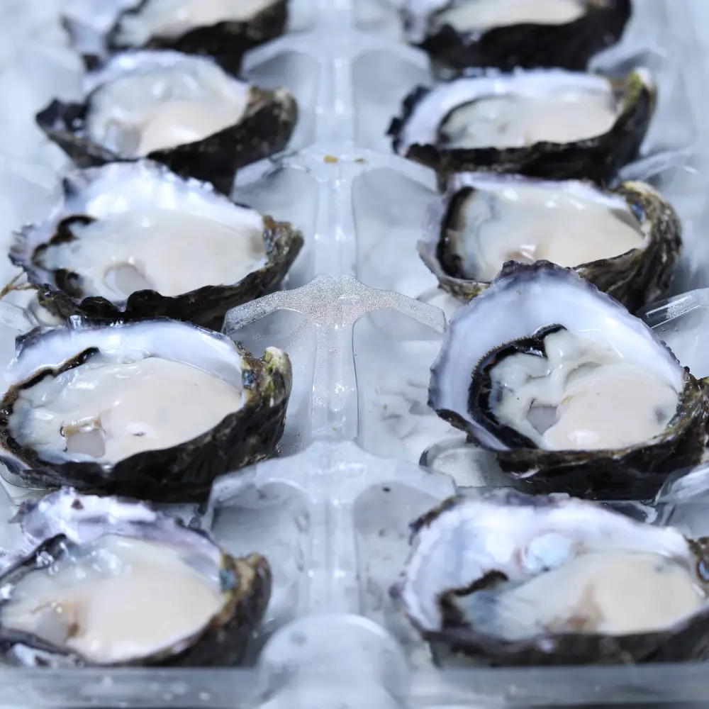 Sydney Rock Oysters - Shucked (opened) - Image 3