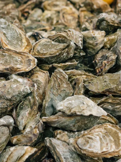 Sydney Rock Oysters - Un-Shucked (unopened/live)